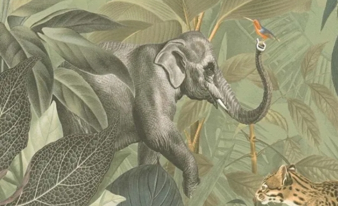 Éléphant
