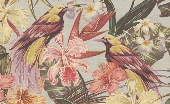 Oiseaux tropicaux 